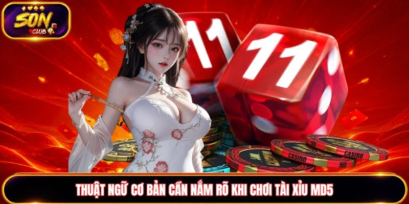 Thuật ngữ chuẩn nhất cần nắm rõ khi chơi Tài xỉu MD5